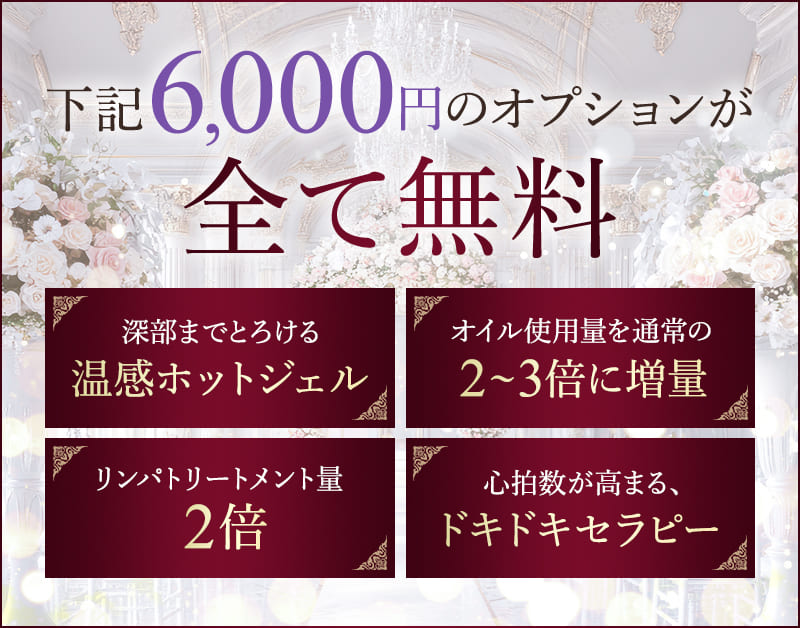 下記6,000円のオプションが全て無料